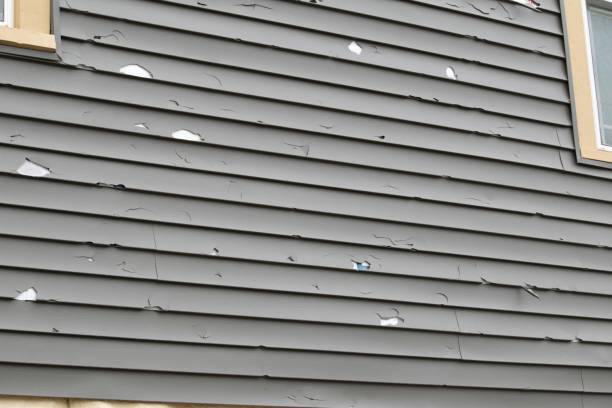 Best Wood Siding Installation  in Coronita, CA