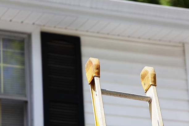 Best Residential Vinyl Siding Installation  in Coronita, CA