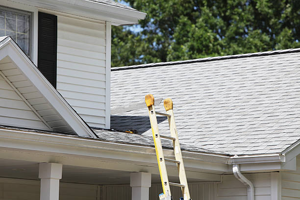 Best Siding Replacement  in Coronita, CA